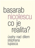 CO JE REALITA – Basarab Nicolescu