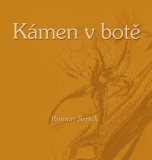 KÁMEN V BOTĚ – Roman Szpuk