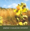 SNĚNÍ V KALICHU DIVIZNY – kolektiv