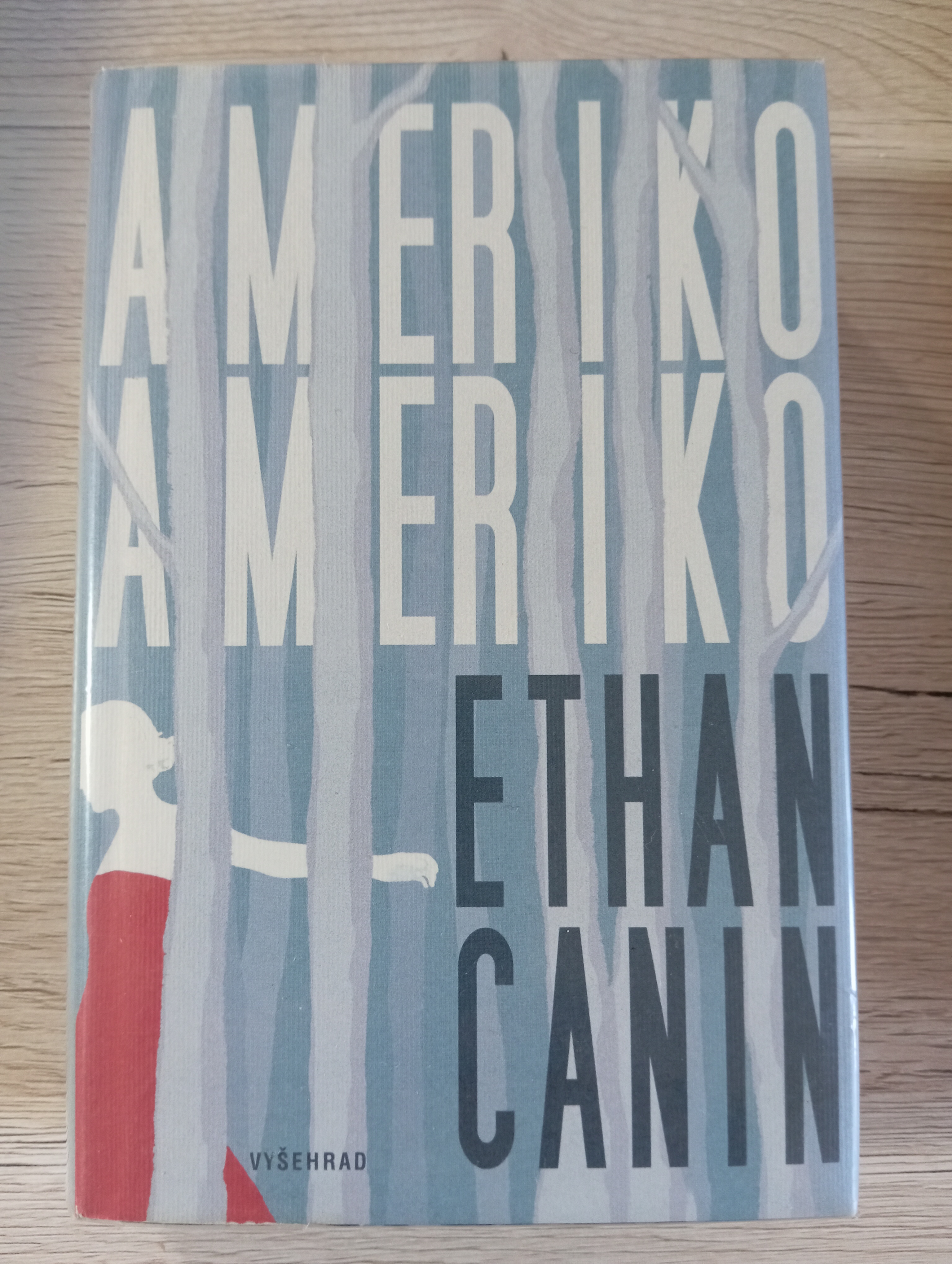 AMERIKO AMERIKO – Ethan Canin