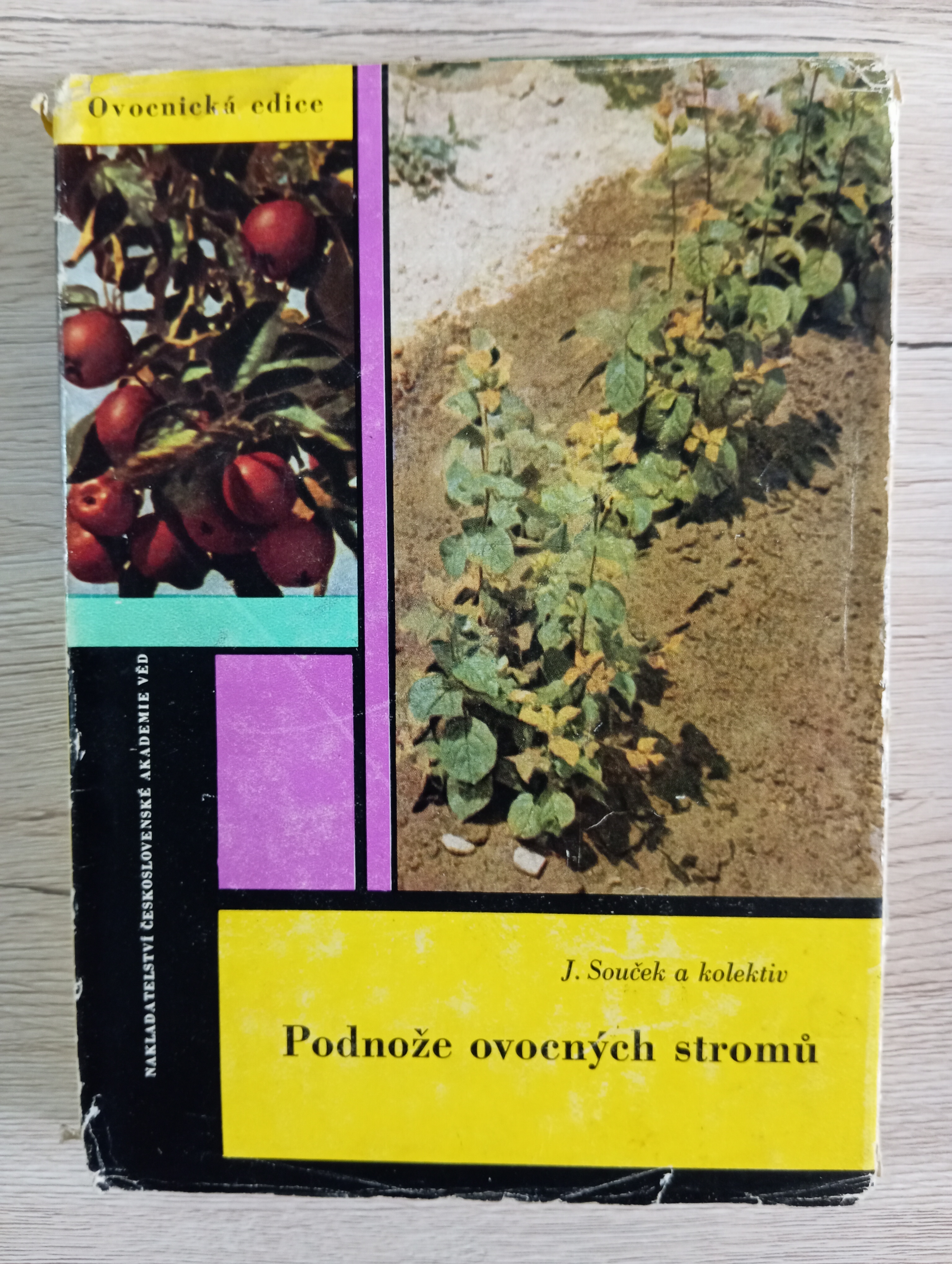 PODNOŽE OVOCNÝCH STROMŮ – Josef Souček, Jiří Vlasák, Jiří Dostálek, Josef Stohr