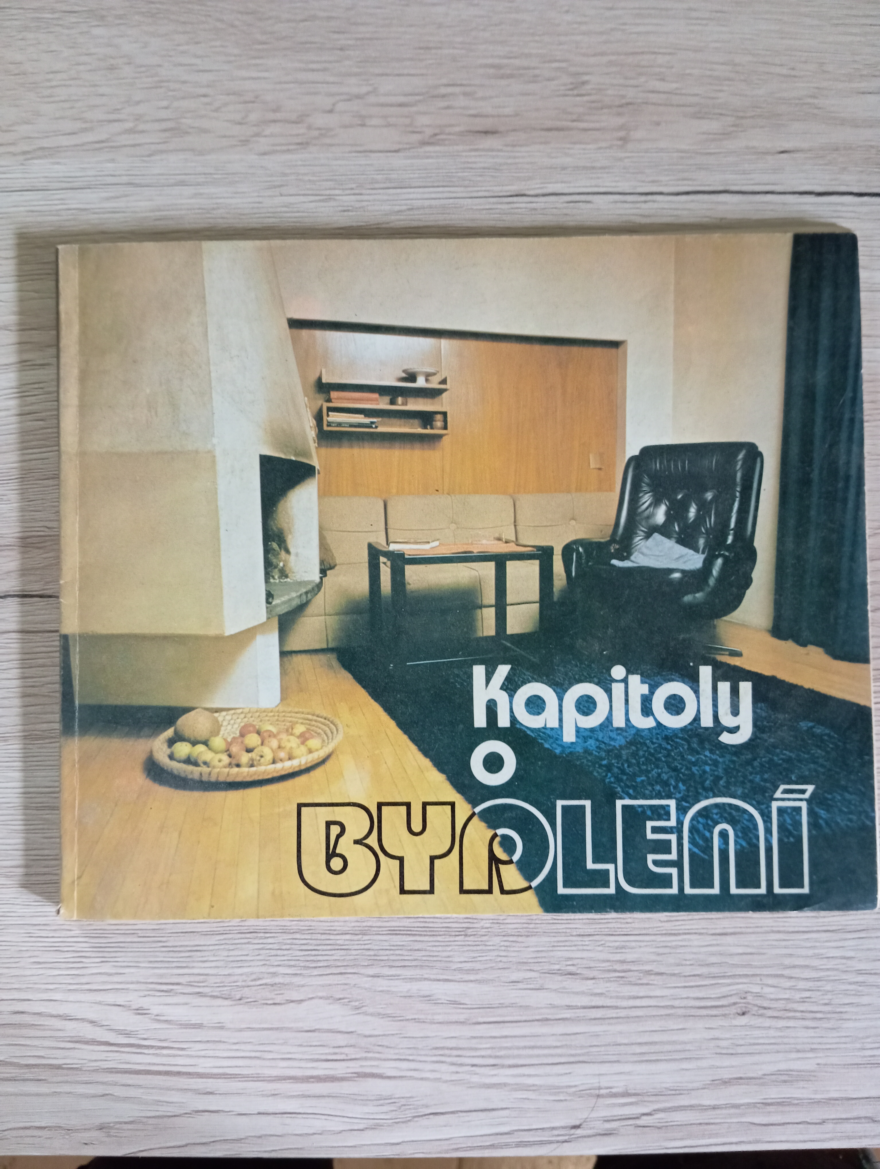 KAPITOLY O BYDLENÍ – Stanislav Dlabal, Miroslav Plzák