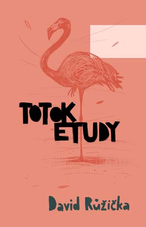 TOTOK ETUDY – David Růžička